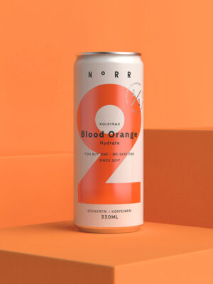 Norr case study thumbnail image